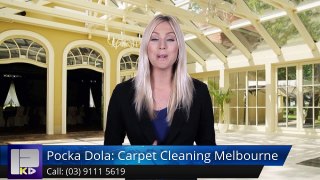 Pocka Dola: Carpet Cleaning Melbourne Newport Terrific Five Star Review by Amit Suri