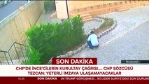 Camide ağaç katline 3 gözaltı