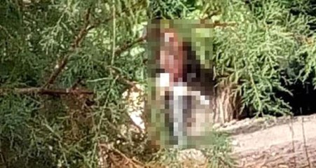 Sapık, 69 Yaşındaki Kadına Sokak Ortasında Cinsel İstismara Kalkıştı