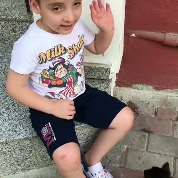 Kedileri çok seviyorum Muhammet Emin Kedilerle eğlenceli çocuk videosu