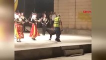 Nevşehir Sokak Köpeğinin Sahne Keyfi Kısa Sürdü
