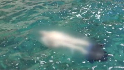 Kayıp İranlı Turistin Cesedi Denizde Bulundu