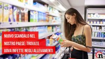 Uova avvelenate negli allevamenti italiani | Notizie.it