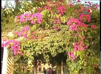 مسلسل لقاء السحاب - الحلقة الخامسة عشر