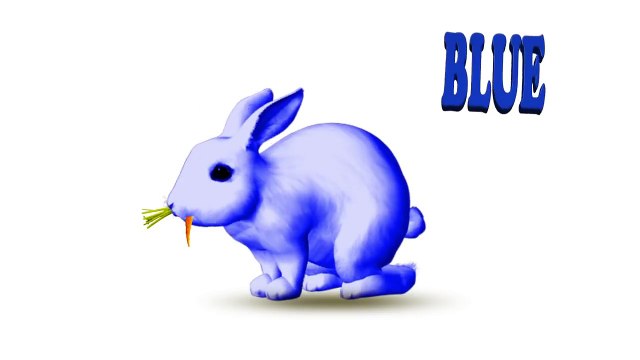 Learn Colors with Colorful RABIT Xylophone Funny Animals Colors Videos for Kids | Raibow Animals