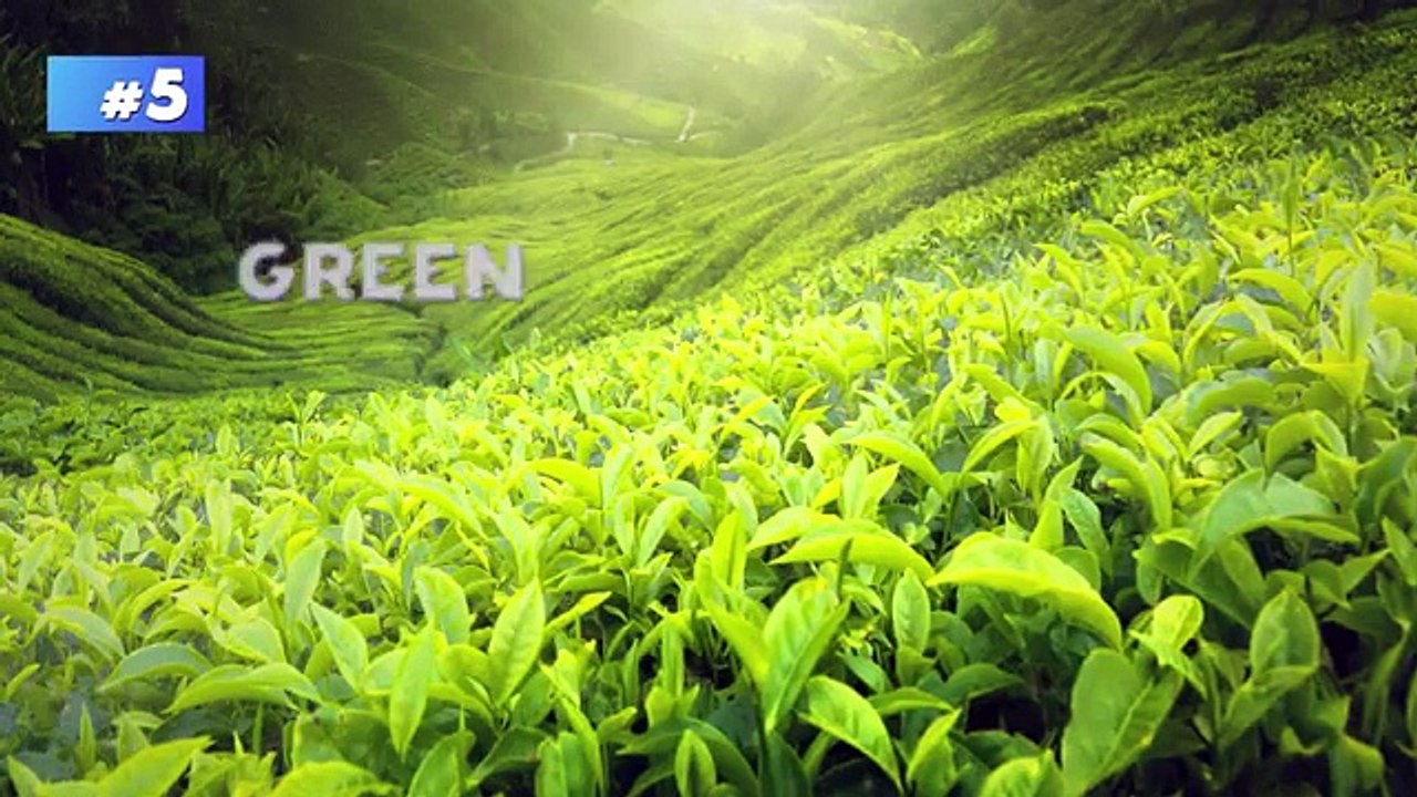 7 Tips to Lose Weight Naturally and Quickly