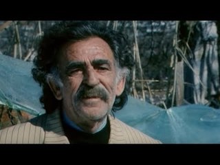 “Humbi një monument kulture”, kolegët shprehin dhimbjen për vdekjen e Fadil Hasës