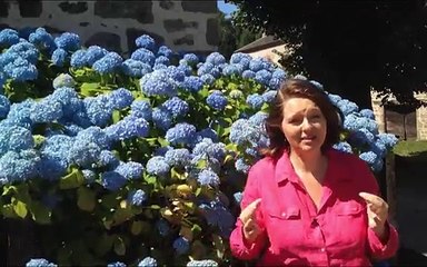 Auto entrepreneur et chômage : Ce que vous devez savoir