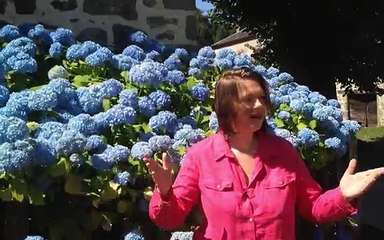 Accre auto entrepreneur et chômage : Ce qu'il faut savoir