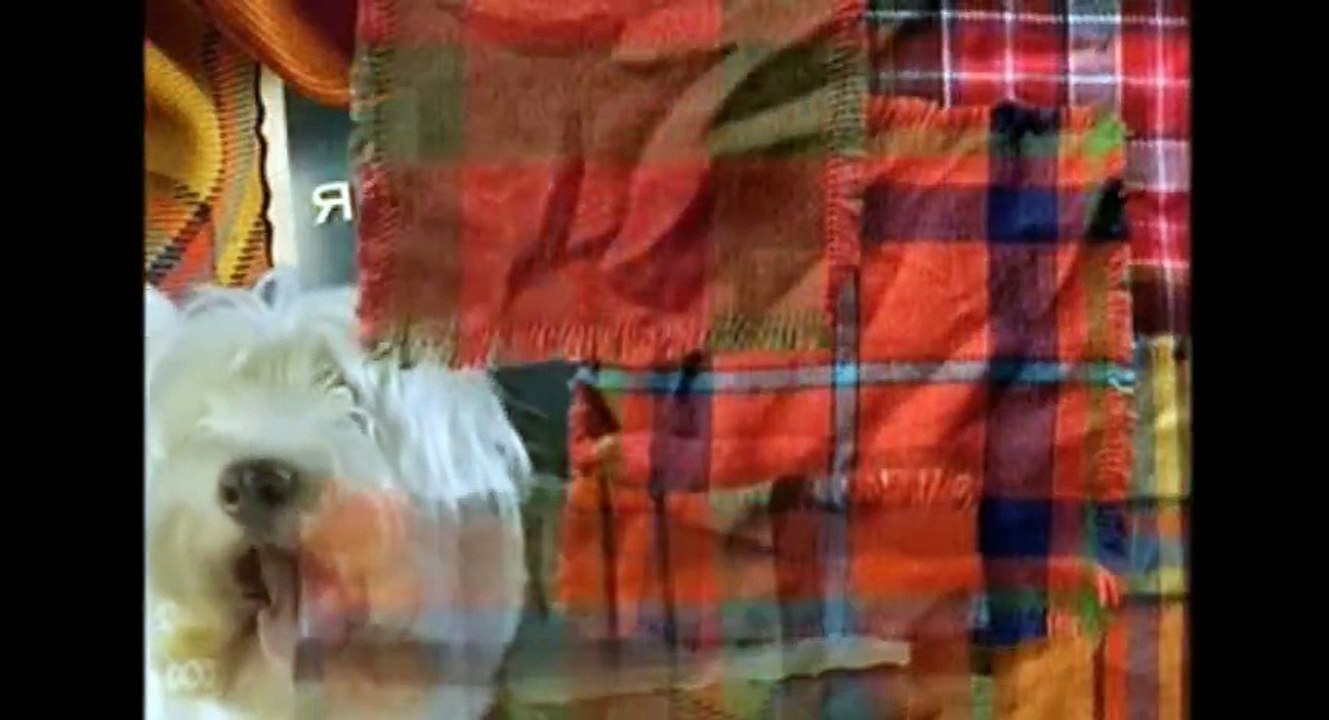 Hamish Macbeth S03  E05 The Trouble with Rory - Part 01