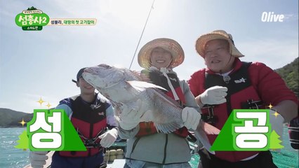 섬블리, 대망의 첫 고기잡이! (ft. 사상 최대 참돔 등장 @.@)