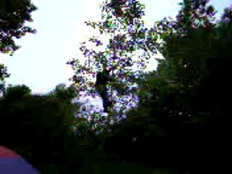 Video-0026