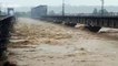 Trains carrying 8,000 tons of ballast park on bridge for six hours to fight floods in China