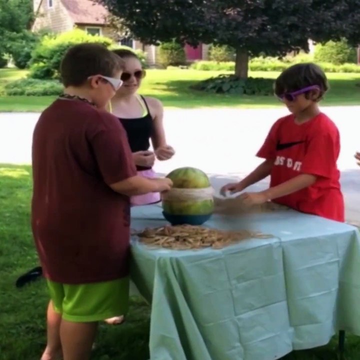 This video just made my day