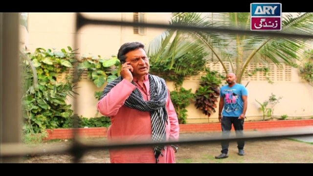 Mein Mehru Hoon Ep 185 & 186 - on ARY Zindagi in High Quality 16th July 2018