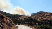 Amanos Dağları'nda çıkan yangına hava ve karadan müdahale ediliyor - HATAY