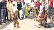 Funniest Monkey Drama in India.Comedy Bandar ka khel.कॉमेडी बन्दर का खेल,मदारी.Madaari tamasha funny