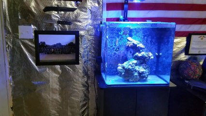 Fish Room Tour | It's Finally Done! | Saltwater And Freshwater