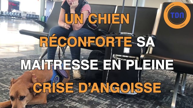 Un chien soutient plus que moralement sa maîtresse lors de ses crises d'angoisses