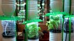 Hydroponic Farming System in Plastic Bottles and LED Lamps.