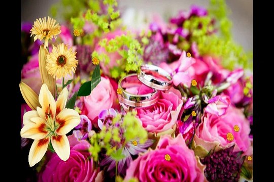 Happy Wedding Anniversary Messages SMS WhatsApp Status, Wedding Anniversary Quotes Wallpapers Wishes Images Greetings Wallpapers Pictures Photos #2