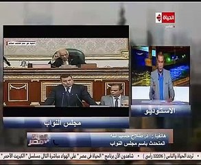 متحدث البرلمان: الهدف من صندوق مصر السيادى تشجيع الاستثمار