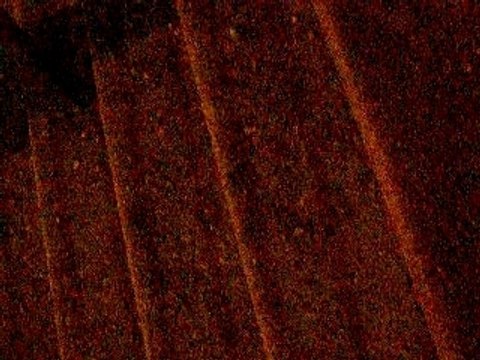 Freestyle Junai kaîz sparte