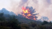 Amanos Dağları'nda çıkan orman yangını (2) - HATAY