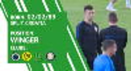 Ivan Perisic - player profile