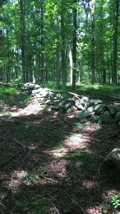 Brian Ghilliotti: I-395 CT Site: Examining more alignments throughout site