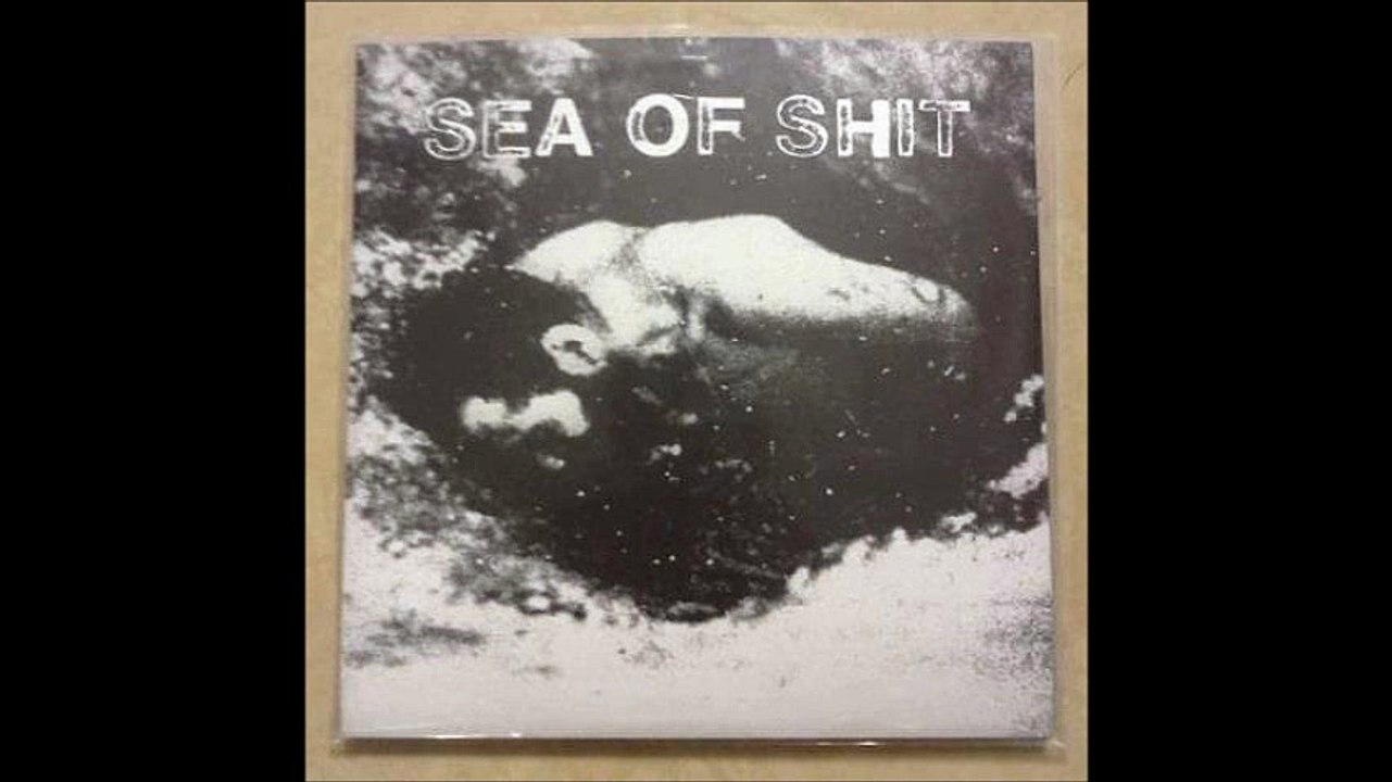 SEA OF SHIT (Usa) Demo 2012 - Review (Grindcore, powerviolence)