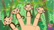 The Finger Family | Mother Goose Club Playhouse Kids Song