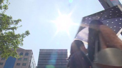 [날씨] '초복' 무더위 맹위...경산 38℃, 서울 34℃ / YTN