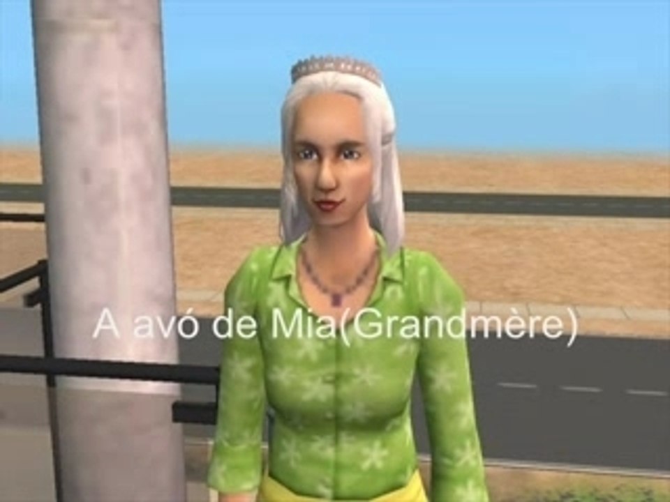 Apresentacao diario da princesa