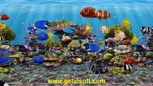 3D Fish School Aquarium Screensaver Tropical Fish Tank for Windows HD