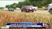 19-Year-Old Steals Police Cruiser, Then Crashes it During Chase