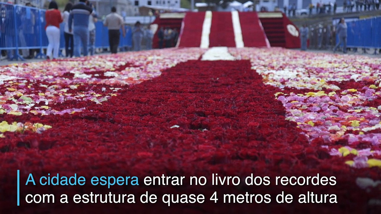 Flores monumentais