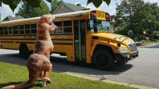T Rex Dinosaur meets Bus