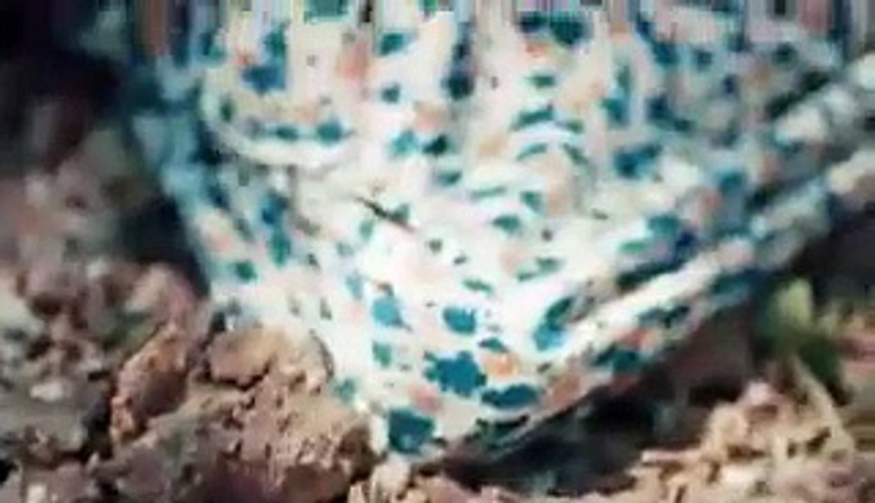 مسلسل العهد sö# الحلقة 4 القسم 1 مترجمة للعربية