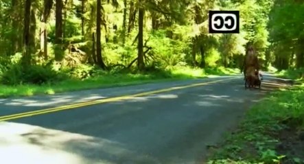 The Legend of Mick Dodge S02 - Ep13 Independence Day HD Watch