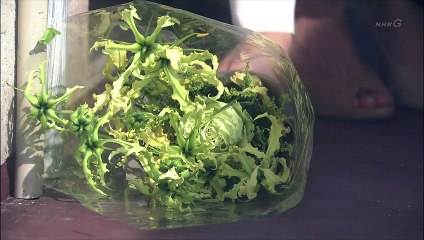 ガラスの家 8