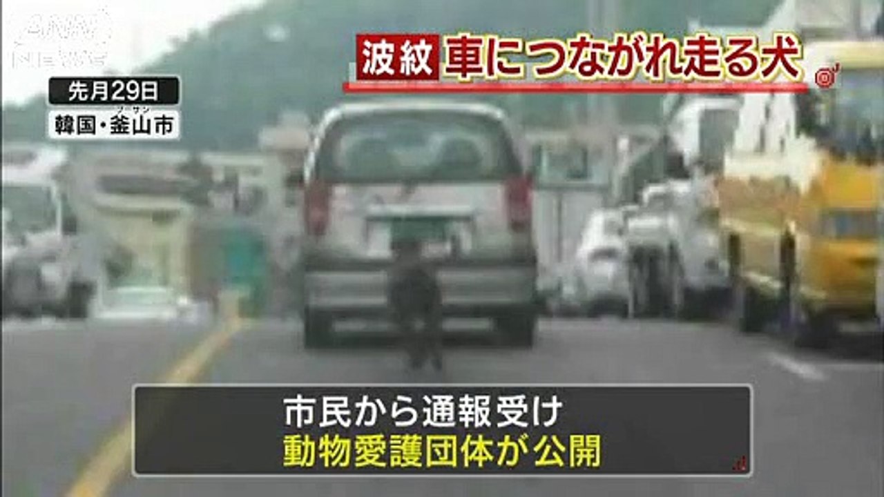 車で犬を引っ張り…“虐待”映像を愛護団体が公開