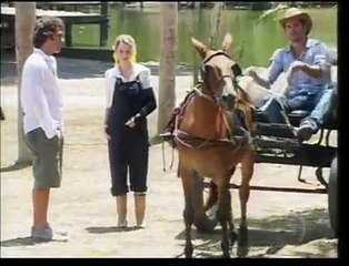 Ti Ti Ti (2010) - Capí 199