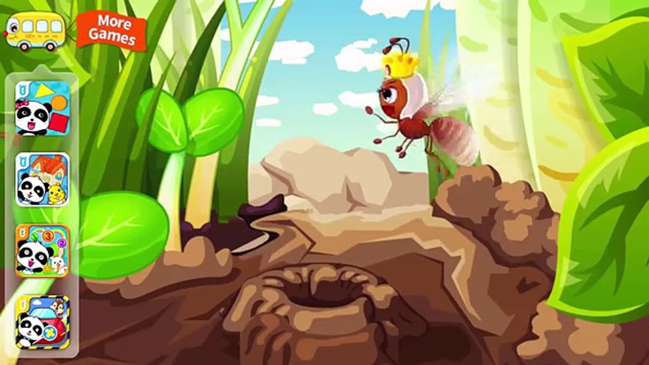 Baby Panda Ant Colonies Fun Kids Games - Kids Play Cartoon Ant Learn Wild Insects Life Survival