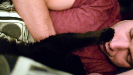 8 Signs Your Cat is Trying to Kill You!