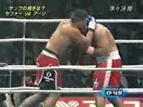 Ray Sefo Vs. Peter Aerts
