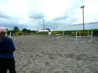 Parcours avec Chico en Irlande