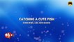 CAT GAMES ON SCREEN Catching a Cute Fish. Entertainment Video for Cats to Watch.