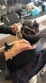 Short haircut tutorial for women - Haircut techniques for women