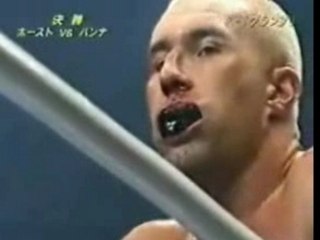 Ernesto Hoost Vs. Jerome le Banner